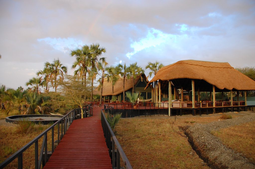 Tanzania Lodge Safari